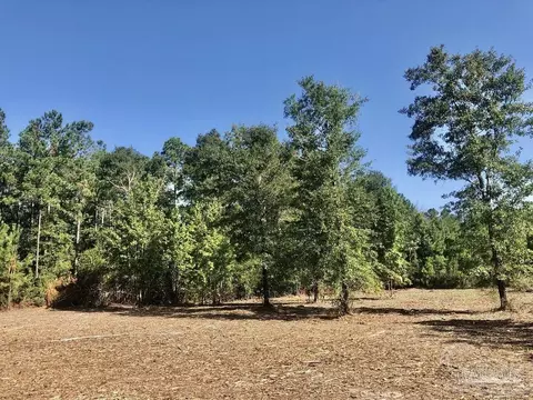 lot2 Bs Buffalo Ridge Rd, Pace, FL 32571 photo 9