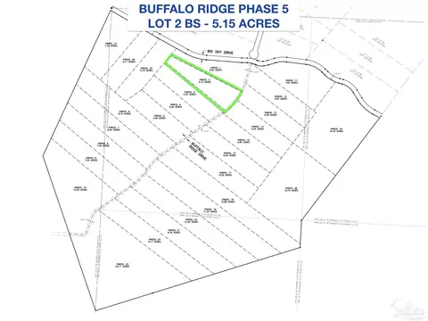 lot2 Bs Buffalo Ridge Rd, Pace, FL 32571 photo 3