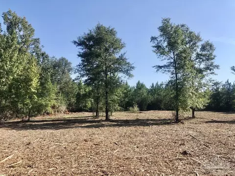 lot2 Bs Buffalo Ridge Rd, Pace, FL 32571 photo 11