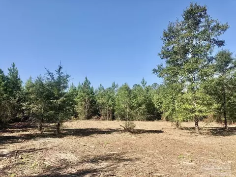 lot2 Bs Buffalo Ridge Rd, Pace, FL 32571 photo 7