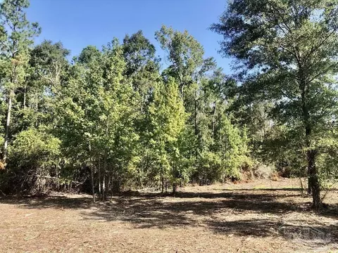 lot2 Bs Buffalo Ridge Rd, Pace, FL 32571 photo 10