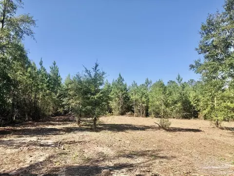 lot2 Bs Buffalo Ridge Rd, Pace, FL 32571 photo 6