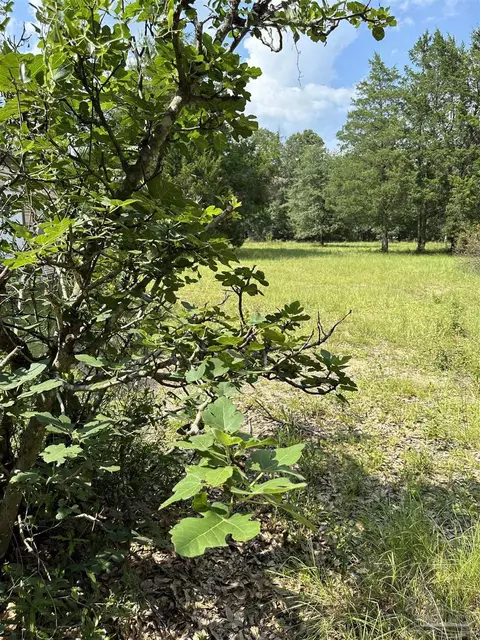 7161 Heath Rd, Milton, FL 32570 photo 45