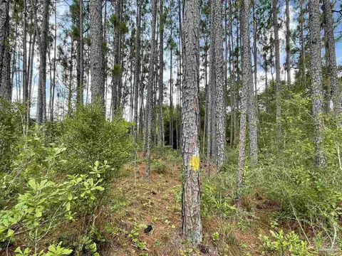 0 Grimes Rd, Century, FL 32535