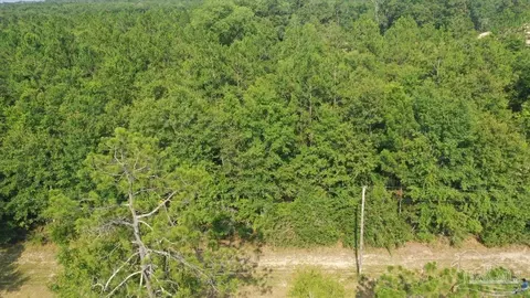 lot2 Byrom Campbell Rd, Pace, FL 32571 photo 22