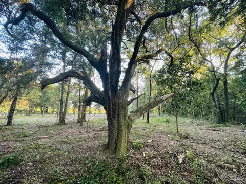 2740 Antique Ln, Jay, FL 32565 photo 9