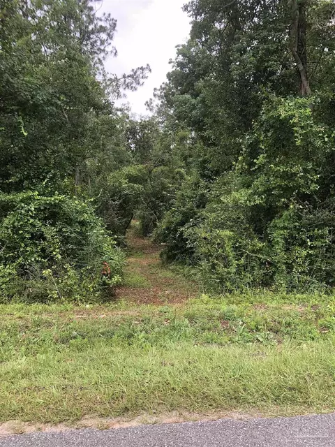 lot2 Eden Ln, Cantonment, FL 32533 photo 8
