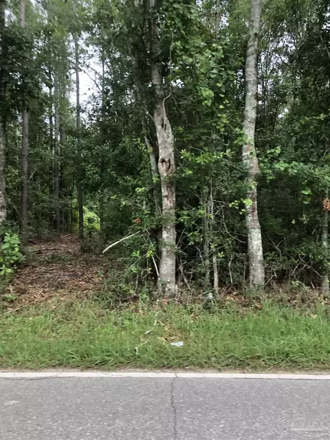 lot2 Eden Ln, Cantonment, FL 32533 photo 4