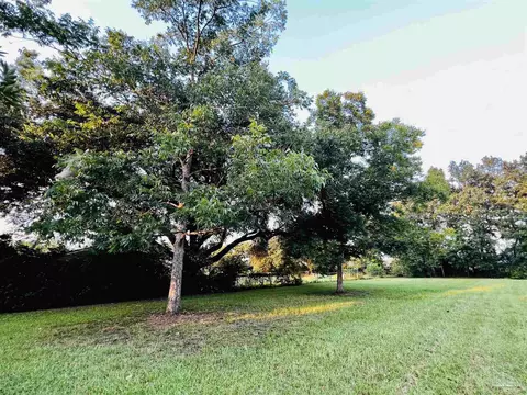 Loop Rd, Pace, FL 32571 photo 3