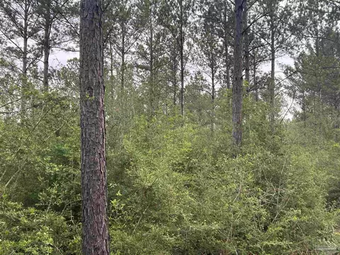 0001 Gin Rd, Pace, FL 32571 photo 2