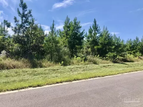 lot20 Mbn Teton Crest Dr, Pace, FL 32571 photo 6