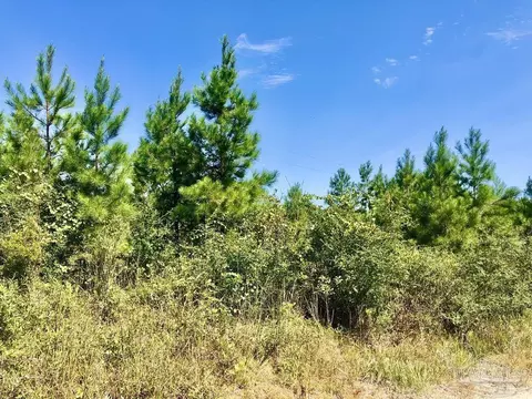 lot20 Mbn Teton Crest Dr, Pace, FL 32571 photo 8