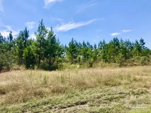 lot20 Mbn Teton Crest Dr, Pace, FL 32571 photo 3