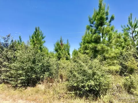 lot20 Mbn Teton Crest Dr, Pace, FL 32571 photo 7