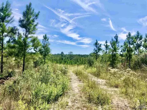 lot21 Mbn Teton Crest Dr, Pace, FL 32571 photo 5