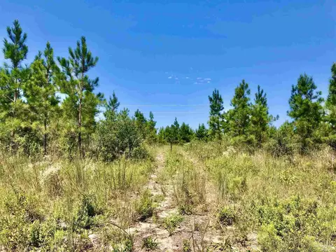 lot21 Mbn Teton Crest Dr, Pace, FL 32571 photo 8