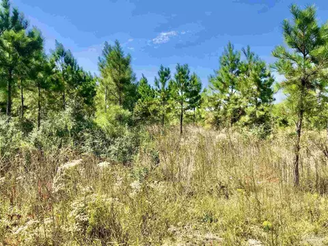 lot21 Mbn Teton Crest Dr, Pace, FL 32571 photo 10