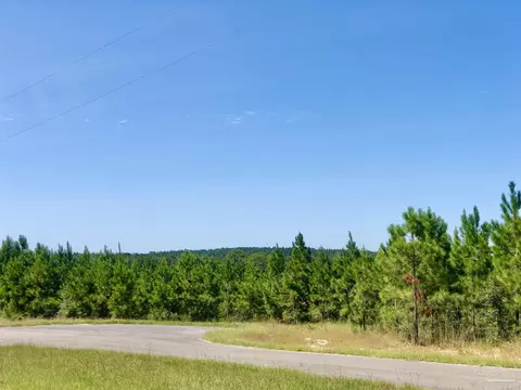 lot21 Mbn Teton Crest Dr, Pace, FL 32571 photo 4