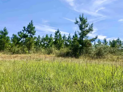 lot21 Mbn Teton Crest Dr, Pace, FL 32571 photo 11