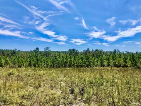 lot21 Mbn Teton Crest Dr, Pace, FL 32571 photo 7