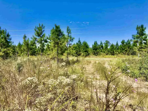lot21 Mbn Teton Crest Dr, Pace, FL 32571 photo 9