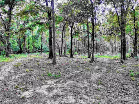 2307 Handy Rd, Cantonment, FL 32533 photo 46