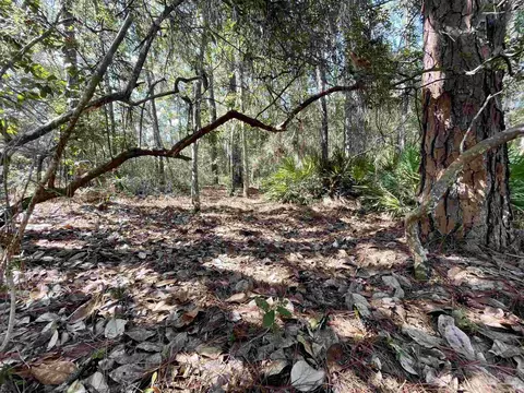5081 Oneida Trl, Milton, FL 32583 photo 15
