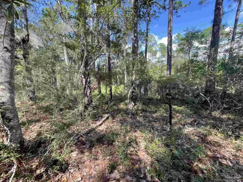 5081 Oneida Trl, Milton, FL 32583 photo 13