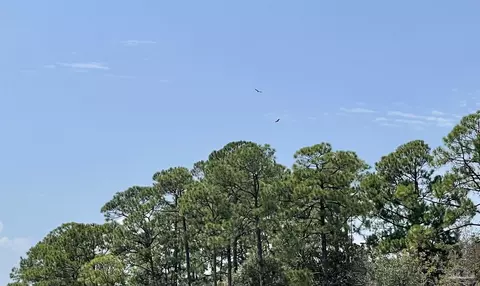 5081 Oneida Trl, Milton, FL 32583 photo 8