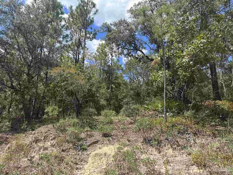 Whippoorwill Dr, Holt, FL 32564 photo 7