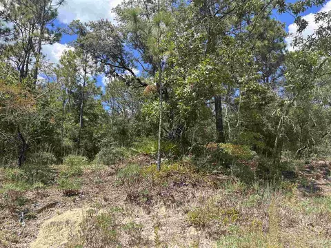 Whippoorwill Dr, Holt, FL 32564 photo 5