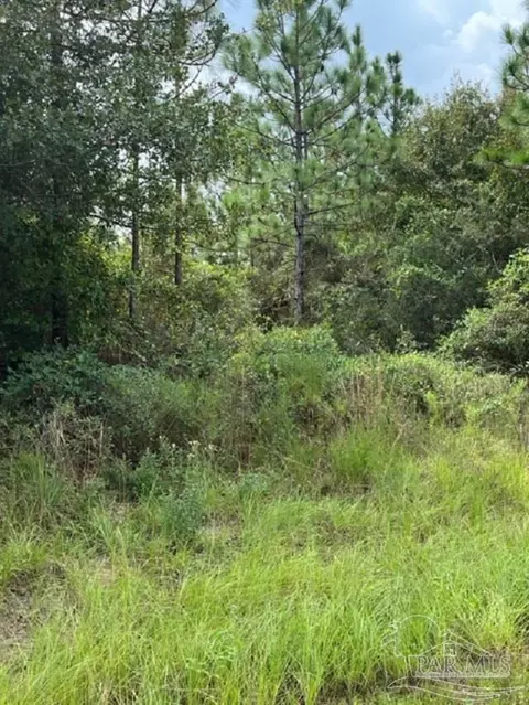 Autumn Ridge Road, Pace, FL 32571 photo 7