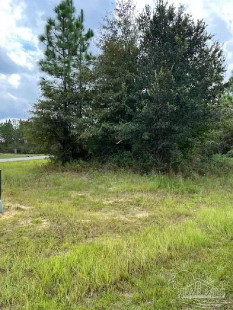Autumn Ridge Road, Pace, FL 32571 photo 2