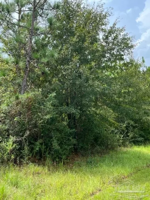 Autumn Ridge Road, Pace, FL 32571 photo 8