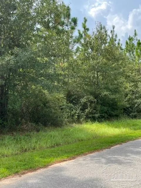 Autumn Ridge Road, Pace, FL 32571 photo 9