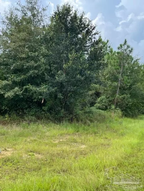 Autumn Ridge Road, Pace, FL 32571 photo 4