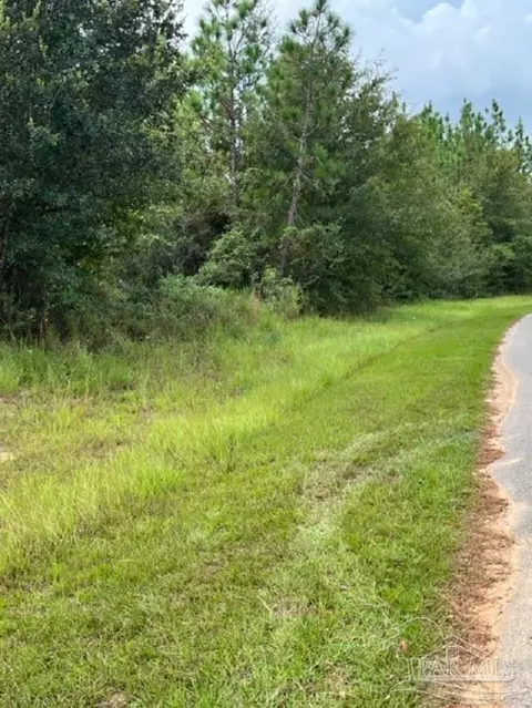 Autumn Ridge Road, Pace, FL 32571 photo 6
