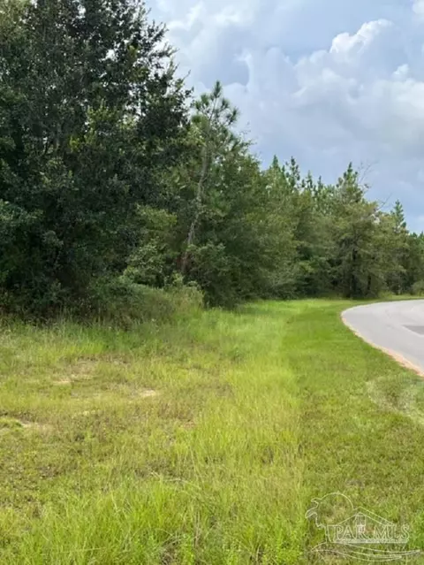 Autumn Ridge Road, Pace, FL 32571 photo 5