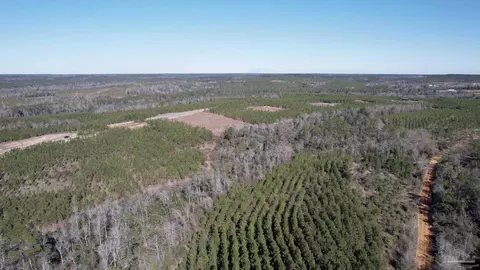 8203 Teton Crest Dr, Pace, FL 32571 photo 24