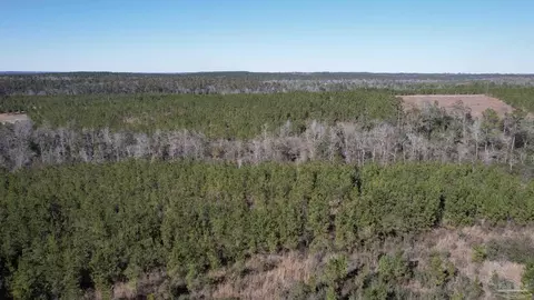 8203 Teton Crest Dr, Pace, FL 32571 photo 19
