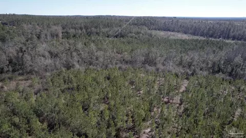 8203 Teton Crest Dr, Pace, FL 32571 photo 15