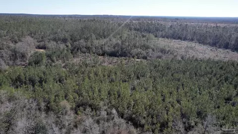 8203 Teton Crest Dr, Pace, FL 32571 photo 17