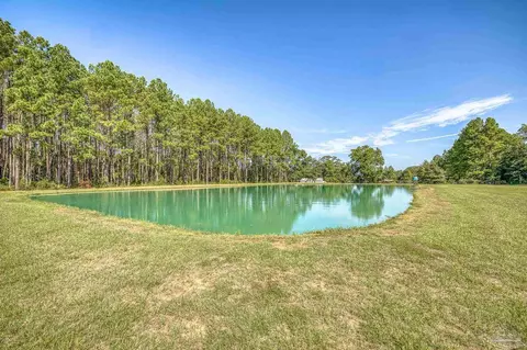 View/Area - 9575 Chumuckla Springs Rd, Jay, FL 32565 photo 4 of 5