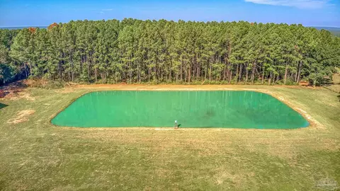 View/Area - 9575 Chumuckla Springs Rd, Jay, FL 32565 photo 5 of 5