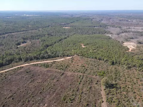 View/Area - 6151 Old Pollard Rd, Jay, FL 32565 photo 5 of 6
