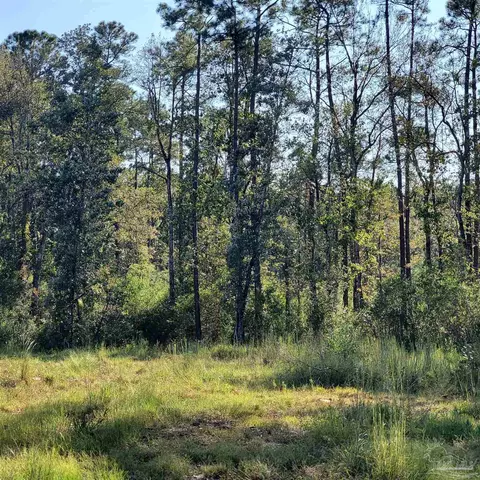 Tbd Ten Mile Rd, Pace, FL 32571 photo 6