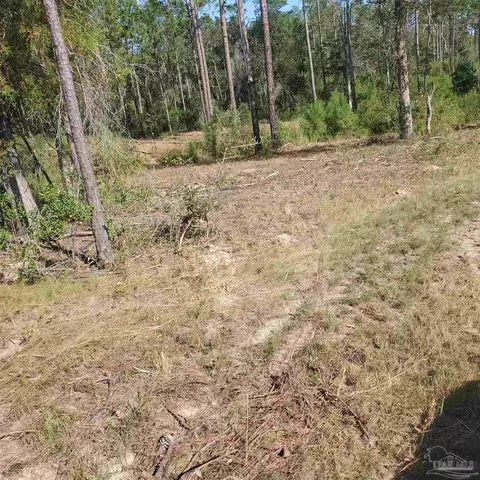 Tbd Ten Mile Rd, Pace, FL 32571 photo 5