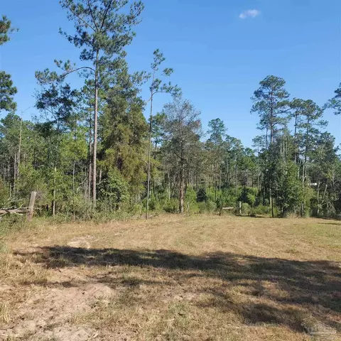 Tbd Ten Mile Rd, Pace, FL 32571 photo 9