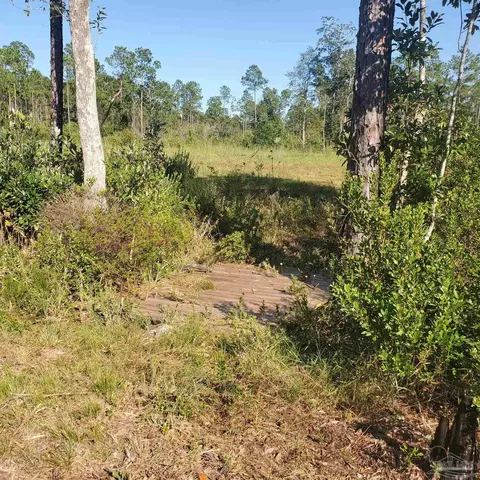 Tbd Ten Mile Rd, Pace, FL 32571 photo 3