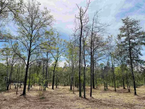 0000 Mineral Springs Rd, Jay, FL 32565